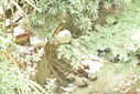 Nombre del archivo=_ALE7428.JPG
Tamaño del archivo=2152KiB
Dimensiones=3680x2456
Fecha añadida=Mayo 03, 2018 _ALE7428.JPG