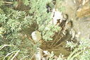 Nombre del archivo=_ALE7432.JPG
Tamaño del archivo=2314KiB
Dimensiones=3680x2456
Fecha añadida=Mayo 03, 2018 _ALE7432.JPG