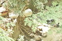 Nombre del archivo=_ALE7433.JPG
Tamaño del archivo=2353KiB
Dimensiones=3680x2456
Fecha añadida=Mayo 03, 2018 _ALE7433.JPG