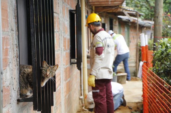 Brigada Comunitaria en el barrio Villatina
Brigada Comunitaria en el barrio Villatina
Fecha: Abril 22 de 2017
Para descargar esta fotografía en alta resolución, haga clic sobre la imagen hasta que la misma se despliegue en la pantalla completa; luego dé clic derecho y elija la opción "guardar imagen como". 
En caso de publicación por cualquier medio, solicitamos acompañarla del crédito: "Foto EPM"
Palabras clave: Brigada Comunitaria en el barrio Villatina voluntarios técnicos apoyado y revisando la correcta ejecución