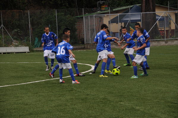 Cancha sintética Liborina
Cancha sintética Liborina
Fecha: Abril 8 de 2015
Para descargar esta fotografía en alta resolución, haga clic sobre la imagen hasta que la misma se despliegue en la pantalla completa; luego dé clic derecho y elija la opción "guardar imagen como". 
En caso de publicación por cualquier medio, solicitamos acompañarla del crédito: "Foto EPM"

Palabras clave: Cancha sintética Liborina