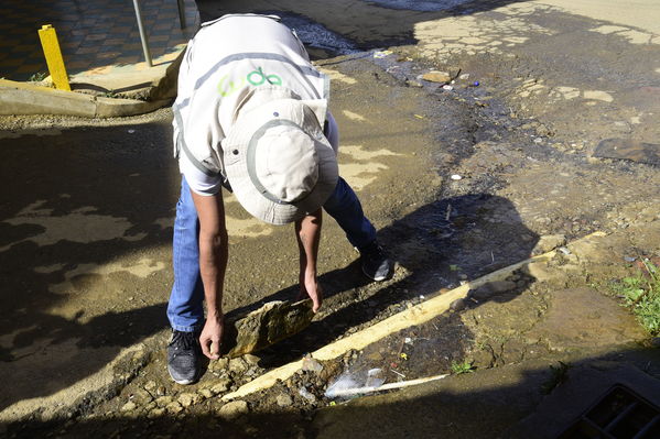 Unidos por el Agua 
Unidos por el Agua 
Agosto 1 2018
Para descargar esta fotografía en alta resolución, haga clic sobre la imagen hasta que la misma se despliegue en la pantalla completa; luego dé clic derecho y elija la opción "guardar imagen como". 
En caso de publicación por cualquier medio, solicitamos acompañarla del crédito: "Foto EPM"
Palabras clave: Unidos por el Agua