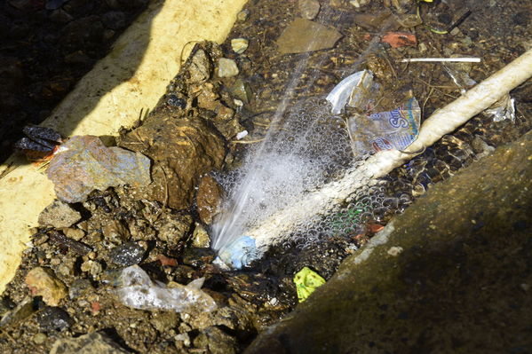 Unidos por el Agua 
Unidos por el Agua 
Agosto 1 2018
Para descargar esta fotografía en alta resolución, haga clic sobre la imagen hasta que la misma se despliegue en la pantalla completa; luego dé clic derecho y elija la opción "guardar imagen como". 
En caso de publicación por cualquier medio, solicitamos acompañarla del crédito: "Foto EPM"
Palabras clave: Unidos por el Agua