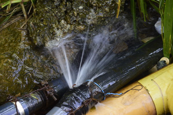 Unidos por el Agua 
Unidos por el Agua 
Agosto 1 2018
Para descargar esta fotografía en alta resolución, haga clic sobre la imagen hasta que la misma se despliegue en la pantalla completa; luego dé clic derecho y elija la opción "guardar imagen como". 
En caso de publicación por cualquier medio, solicitamos acompañarla del crédito: "Foto EPM"
Palabras clave: Unidos por el Agua