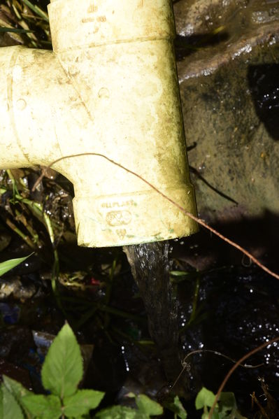 Unidos por el Agua 
Unidos por el Agua 
Agosto 1 2018
Para descargar esta fotografía en alta resolución, haga clic sobre la imagen hasta que la misma se despliegue en la pantalla completa; luego dé clic derecho y elija la opción "guardar imagen como". 
En caso de publicación por cualquier medio, solicitamos acompañarla del crédito: "Foto EPM"
Palabras clave: Unidos por el Agua