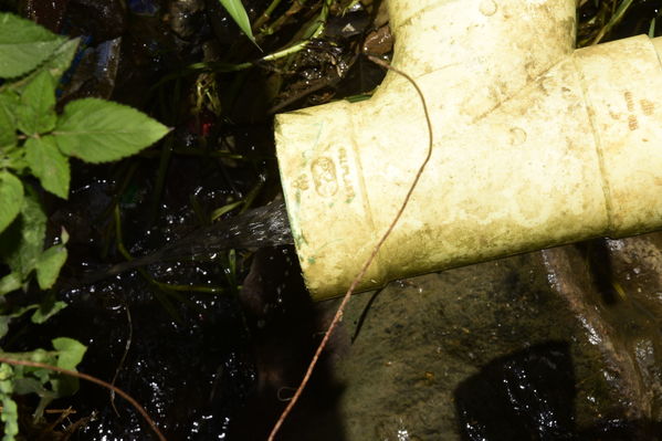 Unidos por el Agua 
Unidos por el Agua 
Agosto 1 2018
Para descargar esta fotografía en alta resolución, haga clic sobre la imagen hasta que la misma se despliegue en la pantalla completa; luego dé clic derecho y elija la opción "guardar imagen como". 
En caso de publicación por cualquier medio, solicitamos acompañarla del crédito: "Foto EPM"
Palabras clave: Unidos por el Agua