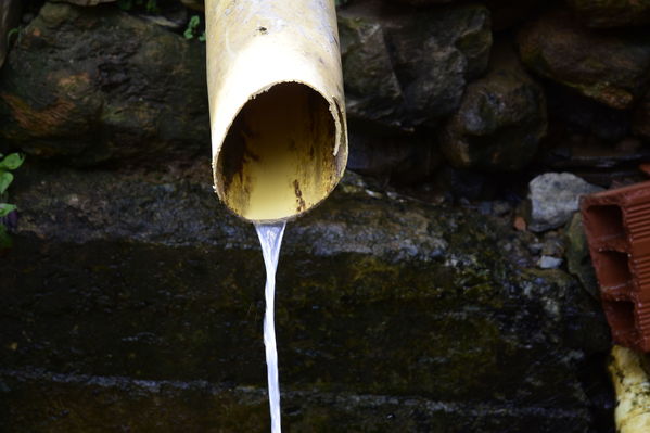 Unidos por el Agua 
Unidos por el Agua 
Agosto 1 2018
Para descargar esta fotografía en alta resolución, haga clic sobre la imagen hasta que la misma se despliegue en la pantalla completa; luego dé clic derecho y elija la opción "guardar imagen como". 
En caso de publicación por cualquier medio, solicitamos acompañarla del crédito: "Foto EPM"
Palabras clave: Unidos por el Agua