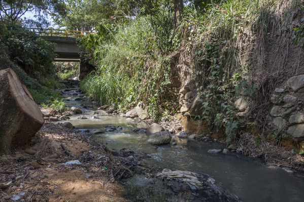 Proyecto Rodas, Piedras Blancas y El Salado
Proyecto Rodas, Piedras Blancas y El Salado
Fecha: Agosto 28 de 2019. 
Para descargar esta fotografía en alta resolución, haga clic sobre la imagen hasta que la misma se despliegue en la pantalla completa; luego dé clic derecho y elija la opción "guardar imagen como". 
En caso de publicación por cualquier medio, solicitamos acompañarla del crédito: "Foto EPM"
Palabras clave: Proyecto Rodas, Piedras Blancas y El Salado