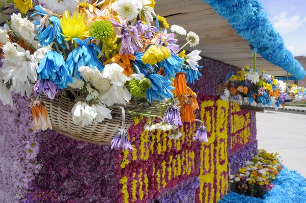 Gigantes de flores
Gigantes de flores
Fecha: Agosto 6 de 2013. 
Para descargar esta fotografía en alta resolución, haga clic sobre la imagen hasta que la misma se despliegue en la pantalla completa; luego dé clic derecho y elija la opción "guardar imagen como". 
En caso de publicación por cualquier medio, solicitamos acompañarla del crédito: "Cortesía EPM".
Palabras clave: Gigantes  flores Plaza Mayor parqués