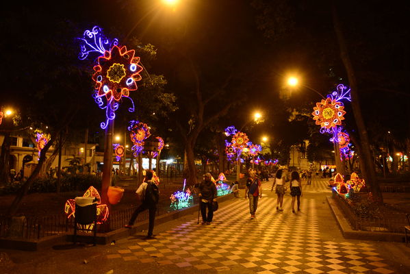 Alumbrado Navideño en los parques de Medellín
Alumbrado Navideño en los parques de Medellín
Fecha: Diciembre 12 de 2016
Para descargar esta fotografía en alta resolución, haga clic sobre la imagen hasta que la misma se despliegue en la pantalla completa; luego dé clic derecho y elija la opción "guardar imagen como". 
En caso de publicación por cualquier medio, solicitamos acompañarla del crédito: "Foto EPM"
Palabras clave: Alumbrado Navideño parques Medellín Bolivar