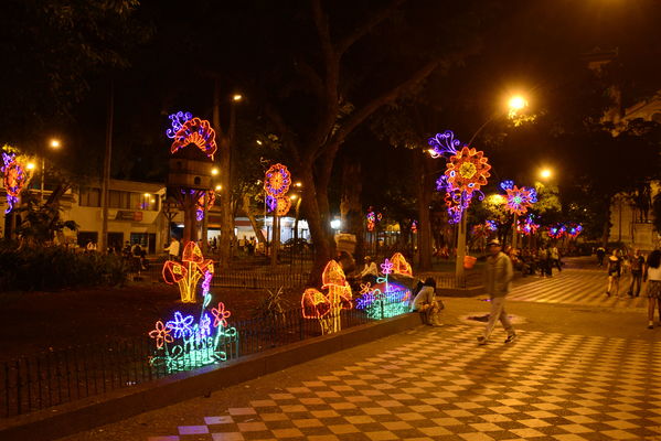 Alumbrado Navideño en los parques de Medellín
Alumbrado Navideño en los parques de Medellín
Fecha: Diciembre 12 de 2016
Para descargar esta fotografía en alta resolución, haga clic sobre la imagen hasta que la misma se despliegue en la pantalla completa; luego dé clic derecho y elija la opción "guardar imagen como". 
En caso de publicación por cualquier medio, solicitamos acompañarla del crédito: "Foto EPM"
Palabras clave: Alumbrado Navideño parques Medellín Bolivar