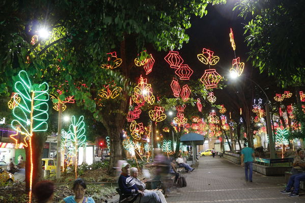 Alumbrado Navideño en los parques de Medellín
Alumbrado Navideño en los parques de Medellín
Fecha: Diciembre 12 de 2016
Para descargar esta fotografía en alta resolución, haga clic sobre la imagen hasta que la misma se despliegue en la pantalla completa; luego dé clic derecho y elija la opción "guardar imagen como". 
En caso de publicación por cualquier medio, solicitamos acompañarla del crédito: "Foto EPM"
Palabras clave: Alumbrado Navideño parques Medellín Belén