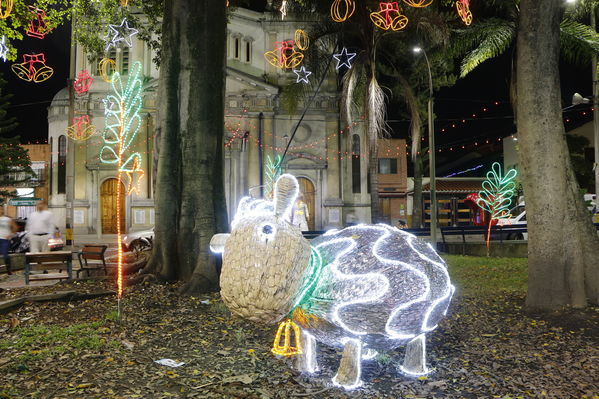 Alumbrado Navideño en los parques de Medellín
Alumbrado Navideño en los parques de Medellín
Fecha: Diciembre 12 de 2016
Para descargar esta fotografía en alta resolución, haga clic sobre la imagen hasta que la misma se despliegue en la pantalla completa; luego dé clic derecho y elija la opción "guardar imagen como". 
En caso de publicación por cualquier medio, solicitamos acompañarla del crédito: "Foto EPM"
Palabras clave: Alumbrado Navideño parques Medellín Belén