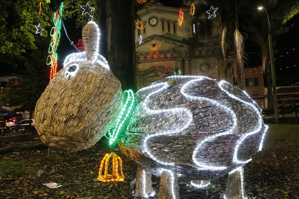 Alumbrado Navideño en los parques de Medellín
Alumbrado Navideño en los parques de Medellín
Fecha: Diciembre 12 de 2016
Para descargar esta fotografía en alta resolución, haga clic sobre la imagen hasta que la misma se despliegue en la pantalla completa; luego dé clic derecho y elija la opción "guardar imagen como". 
En caso de publicación por cualquier medio, solicitamos acompañarla del crédito: "Foto EPM"
Palabras clave: Alumbrado Navideño parques Medellín Belén