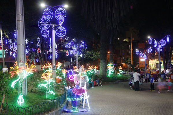 Alumbrado Navideño en los parques de Medellín
Alumbrado Navideño en los parques de Medellín
Fecha: Diciembre 12 de 2016
Para descargar esta fotografía en alta resolución, haga clic sobre la imagen hasta que la misma se despliegue en la pantalla completa; luego dé clic derecho y elija la opción "guardar imagen como". 
En caso de publicación por cualquier medio, solicitamos acompañarla del crédito: "Foto EPM"
Palabras clave: Alumbrado Navideño parques Medellín Floresta