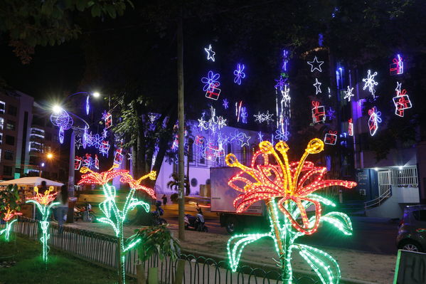 Alumbrado Navideño en los parques de Medellín
Alumbrado Navideño en los parques de Medellín
Fecha: Diciembre 12 de 2016
Para descargar esta fotografía en alta resolución, haga clic sobre la imagen hasta que la misma se despliegue en la pantalla completa; luego dé clic derecho y elija la opción "guardar imagen como". 
En caso de publicación por cualquier medio, solicitamos acompañarla del crédito: "Foto EPM"
Palabras clave: Alumbrado Navideño parques Medellín Floresta