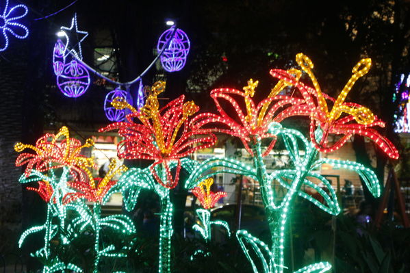 Alumbrado Navideño en los parques de Medellín
Alumbrado Navideño en los parques de Medellín
Fecha: Diciembre 12 de 2016
Para descargar esta fotografía en alta resolución, haga clic sobre la imagen hasta que la misma se despliegue en la pantalla completa; luego dé clic derecho y elija la opción "guardar imagen como". 
En caso de publicación por cualquier medio, solicitamos acompañarla del crédito: "Foto EPM"
Palabras clave: Alumbrado Navideño parques Medellín Floresta