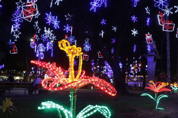 Alumbrado Navideño en los parques de Medellín
Alumbrado Navideño en los parques de Medellín
Fecha: Diciembre 12 de 2016
Para descargar esta fotografía en alta resolución, haga clic sobre la imagen hasta que la misma se despliegue en la pantalla completa; luego dé clic derecho y elija la opción "guardar imagen como". 
En caso de publicación por cualquier medio, solicitamos acompañarla del crédito: "Foto EPM"
Palabras clave: Alumbrado Navideño parques Medellín Floresta