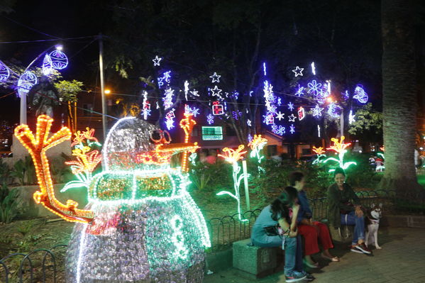 Alumbrado Navideño en los parques de Medellín
Alumbrado Navideño en los parques de Medellín
Fecha: Diciembre 12 de 2016
Para descargar esta fotografía en alta resolución, haga clic sobre la imagen hasta que la misma se despliegue en la pantalla completa; luego dé clic derecho y elija la opción "guardar imagen como". 
En caso de publicación por cualquier medio, solicitamos acompañarla del crédito: "Foto EPM"
Palabras clave: Alumbrado Navideño parques Medellín Floresta