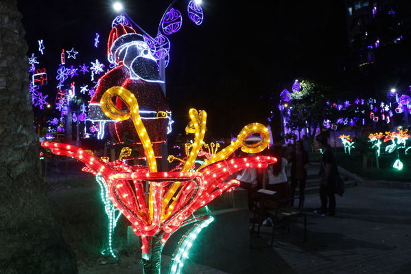 Alumbrado Navideño en los parques de Medellín
Alumbrado Navideño en los parques de Medellín
Fecha: Diciembre 12 de 2016
Para descargar esta fotografía en alta resolución, haga clic sobre la imagen hasta que la misma se despliegue en la pantalla completa; luego dé clic derecho y elija la opción "guardar imagen como". 
En caso de publicación por cualquier medio, solicitamos acompañarla del crédito: "Foto EPM"
Palabras clave: Alumbrado Navideño parques Medellín Floresta