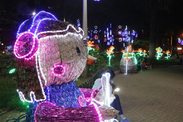 Alumbrado Navideño en los parques de Medellín
Alumbrado Navideño en los parques de Medellín
Fecha: Diciembre 12 de 2016
Para descargar esta fotografía en alta resolución, haga clic sobre la imagen hasta que la misma se despliegue en la pantalla completa; luego dé clic derecho y elija la opción "guardar imagen como". 
En caso de publicación por cualquier medio, solicitamos acompañarla del crédito: "Foto EPM"
Palabras clave: Alumbrado Navideño parques Medellín Floresta