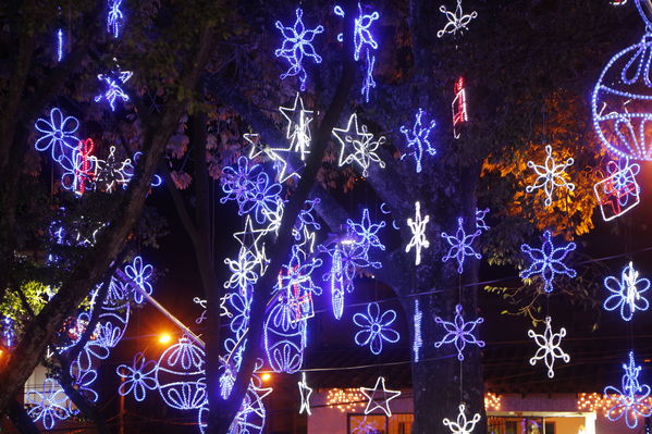 Alumbrado Navideño en los parques de Medellín
Alumbrado Navideño en los parques de Medellín
Fecha: Diciembre 12 de 2016
Para descargar esta fotografía en alta resolución, haga clic sobre la imagen hasta que la misma se despliegue en la pantalla completa; luego dé clic derecho y elija la opción "guardar imagen como". 
En caso de publicación por cualquier medio, solicitamos acompañarla del crédito: "Foto EPM"
Palabras clave: Alumbrado Navideño parques Medellín Floresta