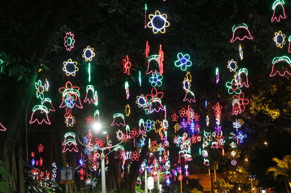 Alumbrado Navideño en los parques de Medellín
Alumbrado Navideño en los parques de Medellín
Fecha: Diciembre 12 de 2016
Para descargar esta fotografía en alta resolución, haga clic sobre la imagen hasta que la misma se despliegue en la pantalla completa; luego dé clic derecho y elija la opción "guardar imagen como". 
En caso de publicación por cualquier medio, solicitamos acompañarla del crédito: "Foto EPM"
Palabras clave: Alumbrado Navideño parques Medellín Laureles