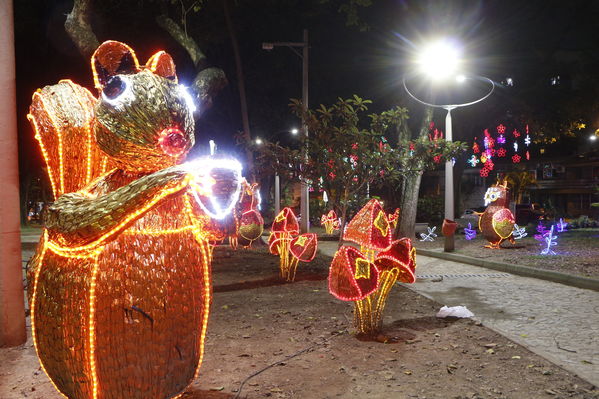 Alumbrado Navideño en los parques de Medellín
Alumbrado Navideño en los parques de Medellín
Fecha: Diciembre 12 de 2016
Para descargar esta fotografía en alta resolución, haga clic sobre la imagen hasta que la misma se despliegue en la pantalla completa; luego dé clic derecho y elija la opción "guardar imagen como". 
En caso de publicación por cualquier medio, solicitamos acompañarla del crédito: "Foto EPM"
Palabras clave: Alumbrado Navideño parques Medellín Laureles