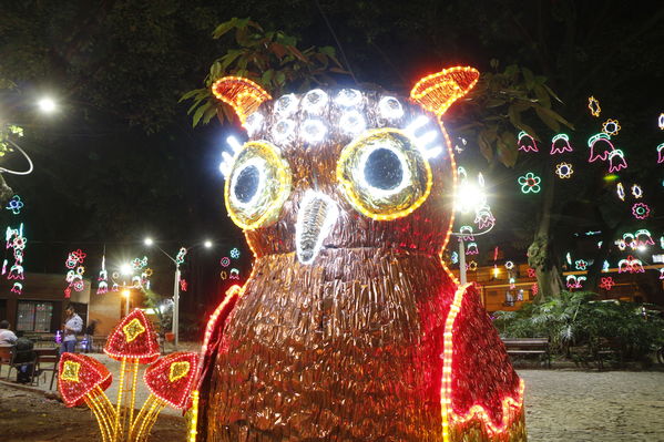 Alumbrado Navideño en los parques de Medellín
Alumbrado Navideño en los parques de Medellín
Fecha: Diciembre 12 de 2016
Para descargar esta fotografía en alta resolución, haga clic sobre la imagen hasta que la misma se despliegue en la pantalla completa; luego dé clic derecho y elija la opción "guardar imagen como". 
En caso de publicación por cualquier medio, solicitamos acompañarla del crédito: "Foto EPM"
Palabras clave: Alumbrado Navideño parques Medellín Laureles
