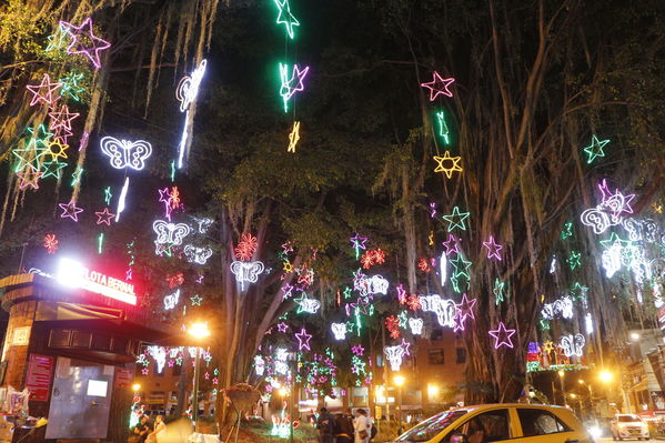 Alumbrado Navideño en los parques de Medellín
Alumbrado Navideño en los parques de Medellín
Fecha: Diciembre 12 de 2016
Para descargar esta fotografía en alta resolución, haga clic sobre la imagen hasta que la misma se despliegue en la pantalla completa; luego dé clic derecho y elija la opción "guardar imagen como". 
En caso de publicación por cualquier medio, solicitamos acompañarla del crédito: "Foto EPM"
Palabras clave: Alumbrado Navideño parques Medellín Poblado