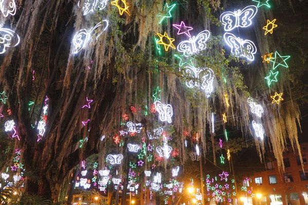 Alumbrado Navideño en los parques de Medellín
Alumbrado Navideño en los parques de Medellín
Fecha: Diciembre 12 de 2016
Para descargar esta fotografía en alta resolución, haga clic sobre la imagen hasta que la misma se despliegue en la pantalla completa; luego dé clic derecho y elija la opción "guardar imagen como". 
En caso de publicación por cualquier medio, solicitamos acompañarla del crédito: "Foto EPM"
Palabras clave: Alumbrado Navideño parques Medellín Poblado