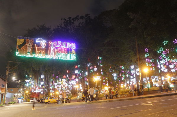 Alumbrado Navideño en los parques de Medellín
Alumbrado Navideño en los parques de Medellín
Fecha: Diciembre 12 de 2016
Para descargar esta fotografía en alta resolución, haga clic sobre la imagen hasta que la misma se despliegue en la pantalla completa; luego dé clic derecho y elija la opción "guardar imagen como". 
En caso de publicación por cualquier medio, solicitamos acompañarla del crédito: "Foto EPM"
Palabras clave: Alumbrado Navideño parques Medellín Poblado