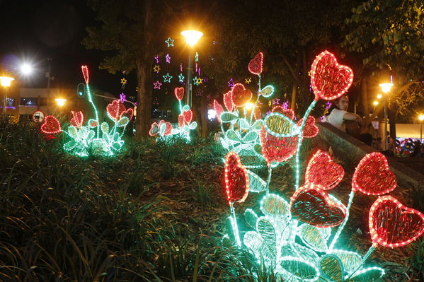 Alumbrado Navideño en los parques de Medellín
Alumbrado Navideño en los parques de Medellín
Fecha: Diciembre 12 de 2016
Para descargar esta fotografía en alta resolución, haga clic sobre la imagen hasta que la misma se despliegue en la pantalla completa; luego dé clic derecho y elija la opción "guardar imagen como". 
En caso de publicación por cualquier medio, solicitamos acompañarla del crédito: "Foto EPM"
Palabras clave: Alumbrado Navideño parques Medellín Poblado