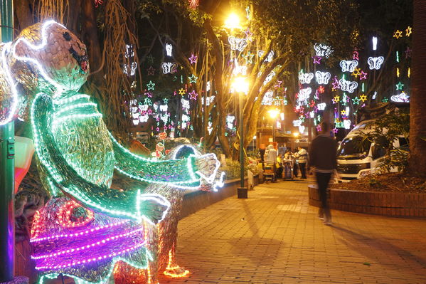 Alumbrado Navideño en los parques de Medellín
Alumbrado Navideño en los parques de Medellín
Fecha: Diciembre 12 de 2016
Para descargar esta fotografía en alta resolución, haga clic sobre la imagen hasta que la misma se despliegue en la pantalla completa; luego dé clic derecho y elija la opción "guardar imagen como". 
En caso de publicación por cualquier medio, solicitamos acompañarla del crédito: "Foto EPM"
Palabras clave: Alumbrado Navideño parques Medellín Poblado