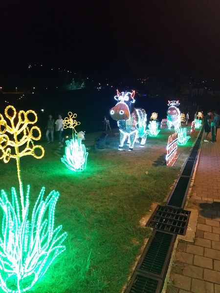 Alumbrados Navideños corregimientos de Medellín
Alumbrados Navideños corregimientos de Medellín
Diciembre 18 2018
Para descargar esta fotografía en alta resolución, haga clic sobre la imagen hasta que la misma se despliegue en la pantalla completa; luego dé clic derecho y elija la opción "guardar imagen como". 
En caso de publicación por cualquier medio, solicitamos acompañarla del crédito: "Foto EPM"
Palabras clave: Alumbrados Navideños corregimientos de Medellín