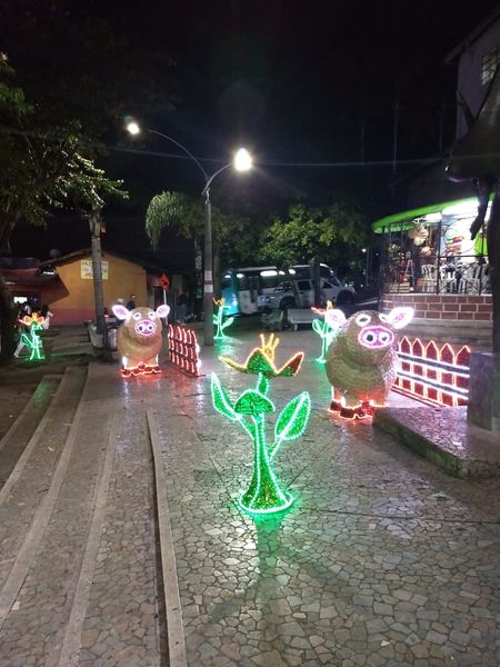 Alumbrados Navideños corregimientos de Medellín
Alumbrados Navideños corregimientos de Medellín
Diciembre 18 2018
Para descargar esta fotografía en alta resolución, haga clic sobre la imagen hasta que la misma se despliegue en la pantalla completa; luego dé clic derecho y elija la opción "guardar imagen como". 
En caso de publicación por cualquier medio, solicitamos acompañarla del crédito: "Foto EPM"
Palabras clave: Alumbrados Navideños corregimientos de Medellín