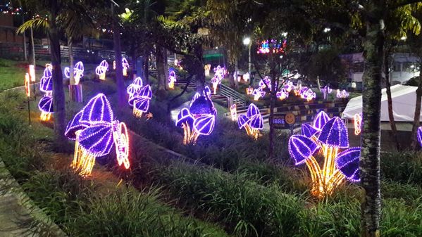 Alumbrados Navideños corregimientos de Medellín
Alumbrados Navideños corregimientos de Medellín
Diciembre 18 2018
Para descargar esta fotografía en alta resolución, haga clic sobre la imagen hasta que la misma se despliegue en la pantalla completa; luego dé clic derecho y elija la opción "guardar imagen como". 
En caso de publicación por cualquier medio, solicitamos acompañarla del crédito: "Foto EPM"
Palabras clave: Alumbrados Navideños corregimientos de Medellín