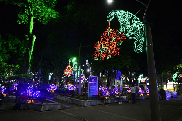 Alumbrado navideño parque Belén
Alumbrado navideño parque Belén
Fecha: Diciembre 19 de 2017
Para descargar esta fotografía en alta resolución, haga clic sobre la imagen hasta que la misma se despliegue en la pantalla completa; luego dé clic derecho y elija la opción "guardar imagen como". 
En caso de publicación por cualquier medio, solicitamos acompañarla del crédito: "Foto EPM"
Palabras clave: Alumbrado navideño parque Belén