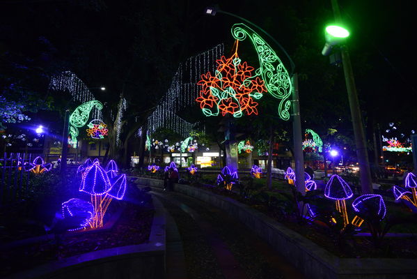 Alumbrado navideño parque Belén
Alumbrado navideño parque Belén
Fecha: Diciembre 19 de 2017
Para descargar esta fotografía en alta resolución, haga clic sobre la imagen hasta que la misma se despliegue en la pantalla completa; luego dé clic derecho y elija la opción "guardar imagen como". 
En caso de publicación por cualquier medio, solicitamos acompañarla del crédito: "Foto EPM"
Palabras clave: Alumbrado navideño parque Belén