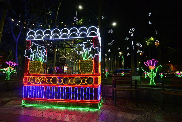 Alumbrado navideño parque Belén
Alumbrado navideño parque Belén
Fecha: Diciembre 19 de 2017
Para descargar esta fotografía en alta resolución, haga clic sobre la imagen hasta que la misma se despliegue en la pantalla completa; luego dé clic derecho y elija la opción "guardar imagen como". 
En caso de publicación por cualquier medio, solicitamos acompañarla del crédito: "Foto EPM"
Palabras clave: Alumbrado navideño parque Belén