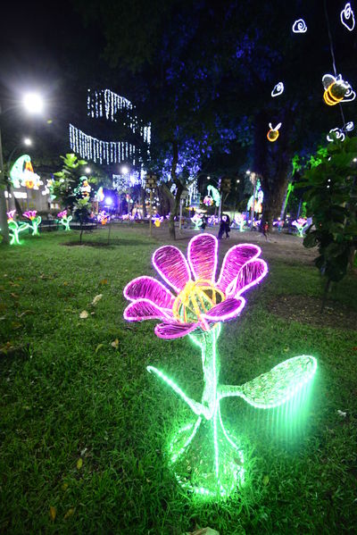 Alumbrado navideño parque Belén
Alumbrado navideño parque Belén
Fecha: Diciembre 19 de 2017
Para descargar esta fotografía en alta resolución, haga clic sobre la imagen hasta que la misma se despliegue en la pantalla completa; luego dé clic derecho y elija la opción "guardar imagen como". 
En caso de publicación por cualquier medio, solicitamos acompañarla del crédito: "Foto EPM"
Palabras clave: Alumbrado navideño parque Belén