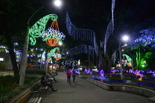 Alumbrado navideño parque Belén
Alumbrado navideño parque Belén
Fecha: Diciembre 19 de 2017
Para descargar esta fotografía en alta resolución, haga clic sobre la imagen hasta que la misma se despliegue en la pantalla completa; luego dé clic derecho y elija la opción "guardar imagen como". 
En caso de publicación por cualquier medio, solicitamos acompañarla del crédito: "Foto EPM"
Palabras clave: Alumbrado navideño parque Belén