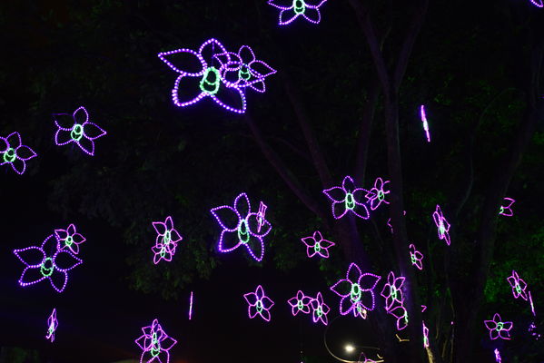 Alumbrado navideño Parque Cristo Rey
Alumbrado navideño Parque Cristo Rey
Fecha: Diciembre 19 de 2017
Para descargar esta fotografía en alta resolución, haga clic sobre la imagen hasta que la misma se despliegue en la pantalla completa; luego dé clic derecho y elija la opción "guardar imagen como". 
En caso de publicación por cualquier medio, solicitamos acompañarla del crédito: "Foto EPM"
Palabras clave: Alumbrado navideño Parque Cristo Rey