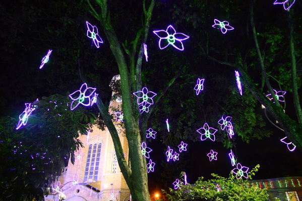 Alumbrado navideño Parque Cristo Rey
Alumbrado navideño Parque Cristo Rey
Fecha: Diciembre 19 de 2017
Para descargar esta fotografía en alta resolución, haga clic sobre la imagen hasta que la misma se despliegue en la pantalla completa; luego dé clic derecho y elija la opción "guardar imagen como". 
En caso de publicación por cualquier medio, solicitamos acompañarla del crédito: "Foto EPM"
Palabras clave: Alumbrado navideño Parque Cristo Rey