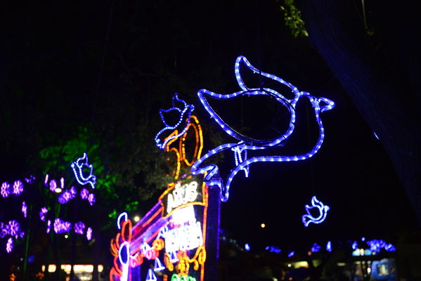 Alumbrado navideño Parque Cristo Rey
Alumbrado navideño Parque Cristo Rey
Fecha: Diciembre 19 de 2017
Para descargar esta fotografía en alta resolución, haga clic sobre la imagen hasta que la misma se despliegue en la pantalla completa; luego dé clic derecho y elija la opción "guardar imagen como". 
En caso de publicación por cualquier medio, solicitamos acompañarla del crédito: "Foto EPM"
Palabras clave: Alumbrado navideño Parque Cristo Rey