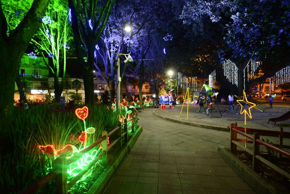 Alumbrado navideño Parque Cristo Rey
Alumbrado navideño Parque Cristo Rey
Fecha: Diciembre 19 de 2017
Para descargar esta fotografía en alta resolución, haga clic sobre la imagen hasta que la misma se despliegue en la pantalla completa; luego dé clic derecho y elija la opción "guardar imagen como". 
En caso de publicación por cualquier medio, solicitamos acompañarla del crédito: "Foto EPM"
Palabras clave: Alumbrado navideño Parque Cristo Rey