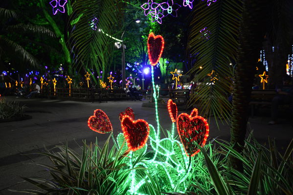 Alumbrado navideño Parque Cristo Rey
Alumbrado navideño Parque Cristo Rey
Fecha: Diciembre 19 de 2017
Para descargar esta fotografía en alta resolución, haga clic sobre la imagen hasta que la misma se despliegue en la pantalla completa; luego dé clic derecho y elija la opción "guardar imagen como". 
En caso de publicación por cualquier medio, solicitamos acompañarla del crédito: "Foto EPM"
Palabras clave: Alumbrado navideño Parque Cristo Rey