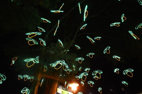 Alumbrado navideño parque El Poblado
Alumbrado navideño parque El Poblado
Fecha: Diciembre 19 de 2017
Para descargar esta fotografía en alta resolución, haga clic sobre la imagen hasta que la misma se despliegue en la pantalla completa; luego dé clic derecho y elija la opción "guardar imagen como". 
En caso de publicación por cualquier medio, solicitamos acompañarla del crédito: "Foto EPM"
Palabras clave: Alumbrado navideño parque El Poblado