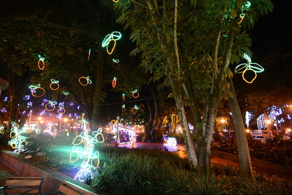 Alumbrado navideño parque El Poblado
Alumbrado navideño parque El Poblado
Fecha: Diciembre 19 de 2017
Para descargar esta fotografía en alta resolución, haga clic sobre la imagen hasta que la misma se despliegue en la pantalla completa; luego dé clic derecho y elija la opción "guardar imagen como". 
En caso de publicación por cualquier medio, solicitamos acompañarla del crédito: "Foto EPM"
Palabras clave: Alumbrado navideño parque El Poblado