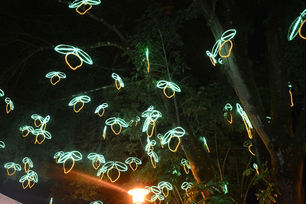 Alumbrado navideño parque El Poblado
Alumbrado navideño parque El Poblado
Fecha: Diciembre 19 de 2017
Para descargar esta fotografía en alta resolución, haga clic sobre la imagen hasta que la misma se despliegue en la pantalla completa; luego dé clic derecho y elija la opción "guardar imagen como". 
En caso de publicación por cualquier medio, solicitamos acompañarla del crédito: "Foto EPM"
Palabras clave: Alumbrado navideño parque El Poblado